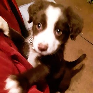 Meet your Posher, Brandon